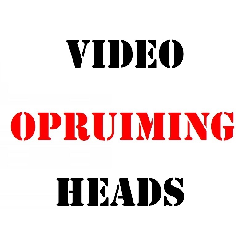 Video heads